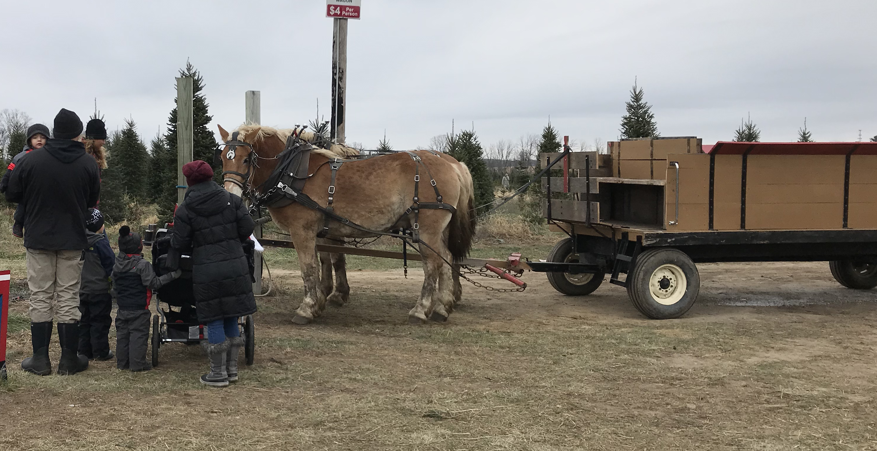 A family standing next to a horse drawn wagon ride.